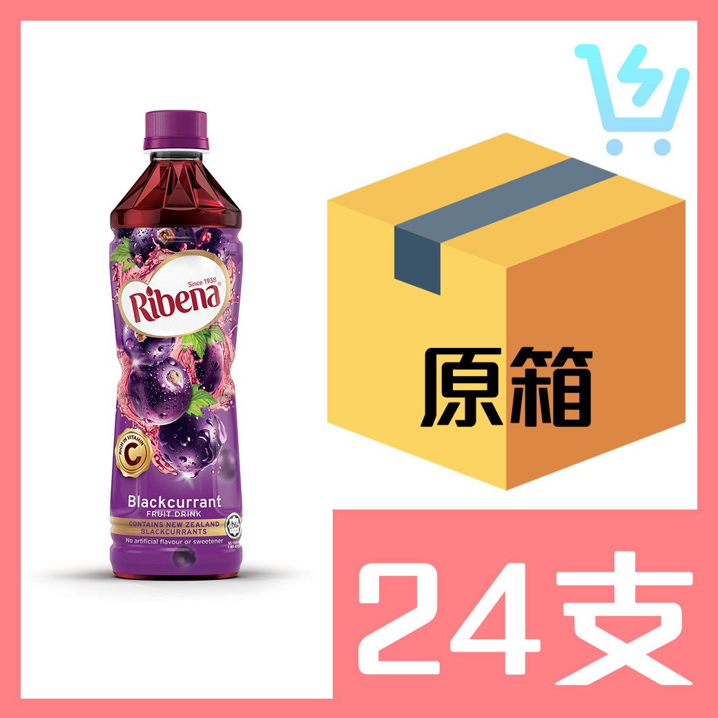 利賓納黑加侖子450ml x24支